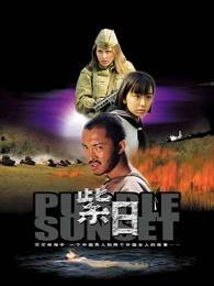 紫日在线观看免费观看,穿越时光的浪漫之旅