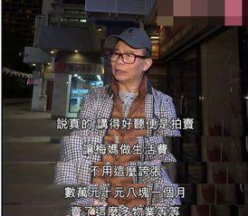 梅艳芳 二哥 爆料视频,家族往事与演艺生涯幕后真相